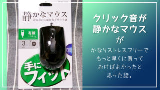 耳からガサガサ音が鳴る 耳鼻科へ急行 病気ではなく猫の毛が耳に入っていた話 のはらねこ