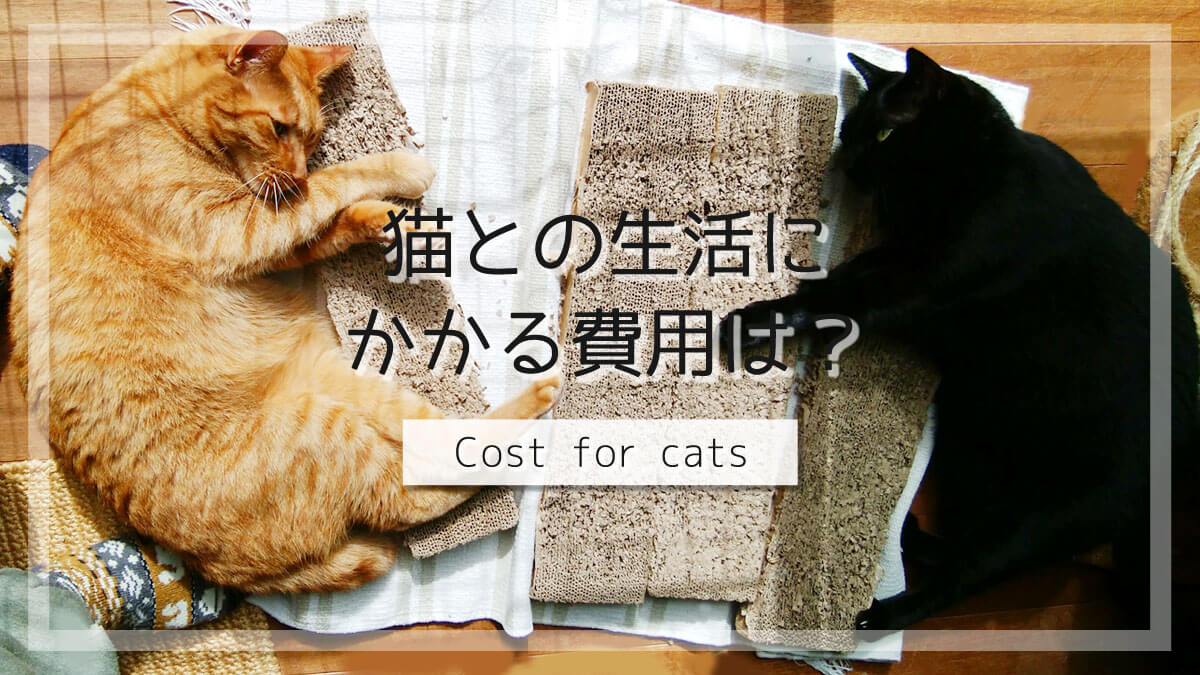 猫にかかる費用
