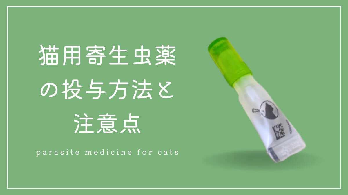 猫の寄生虫駆除予防薬「レボリューションプラス」